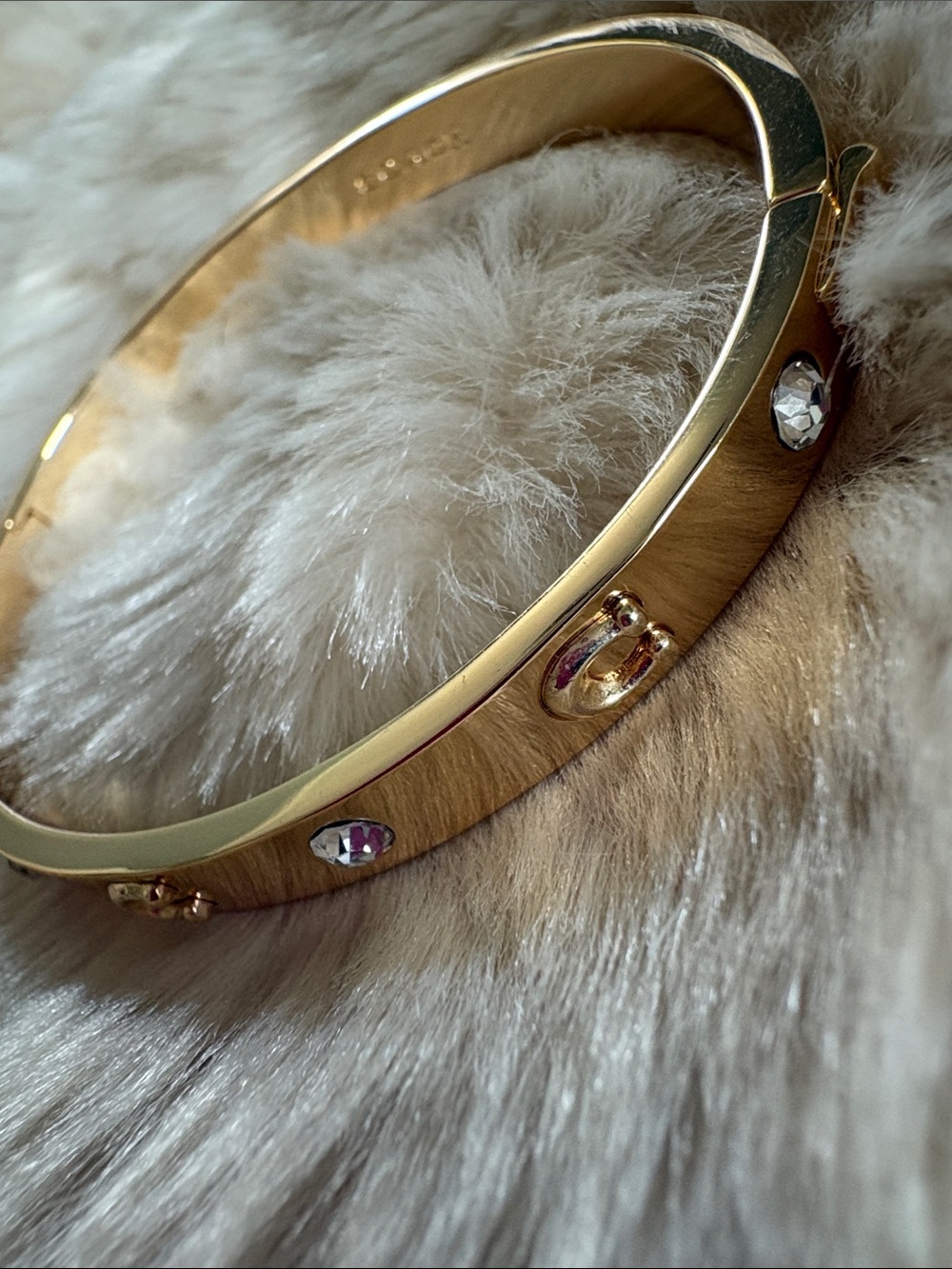 Coach Bracelet - Picture 4 of 11